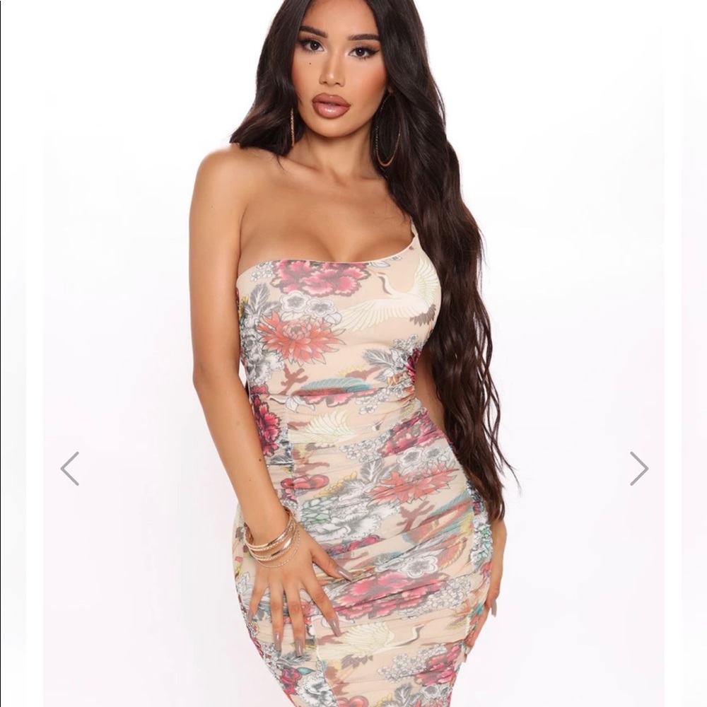 Fashion Nova Dragon You Down Dress